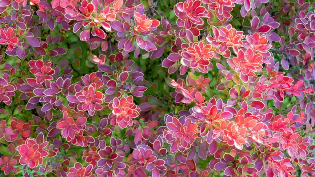 Apr 4, 10 am: Monthly gathering for meaningful conversation around the Cafe tables.